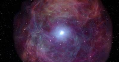 Историческое событие. Ученые впервые наблюдали за саморазрушением звезды в реальном времени (видео)