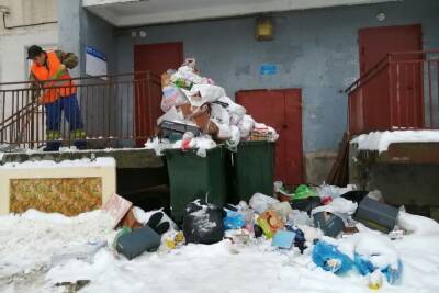 Регоператор заявил, что петербуржцы стали реже жаловаться на мусорные завалы