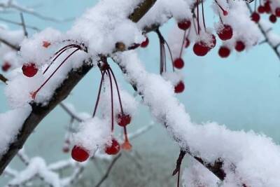 Небольшой снег и ветер до 13 метров в секунду ожидаются в Забайкалье 9 января