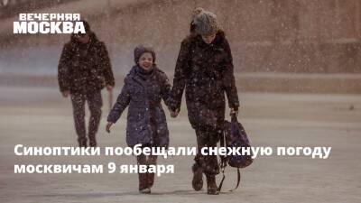 Синоптики пообещали снежную погоду москвичам 9 января