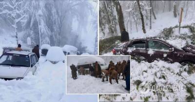 Снегопад в Пакистане: на трассе заблокированы тысяча авто, 22 человека погибли. Фото и видео