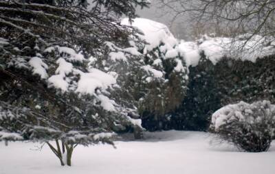 На Украину обрушатся снегопады: синоптики предупредили о непростой погоде 9 января, какие области заметет
