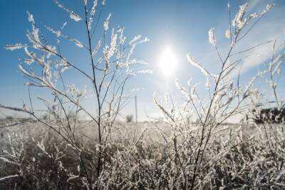 В Волгоградской области 9 января ожидаются туман и мороз до -20°С
