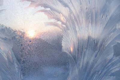 Заморозки до -30 градусов ожидаются в Ленобласти в ближайшие дни