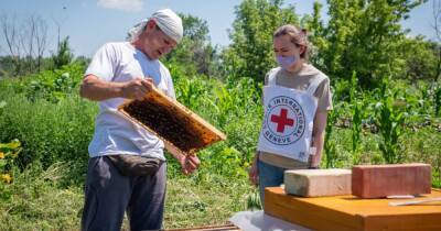 Красный Крест утвердил программу помощи жителям Луганщины