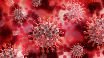 Названы самые распространенные симптомы омикрон-штамма коронавируса