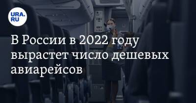 В России в 2022 году вырастет число дешевых авиарейсов