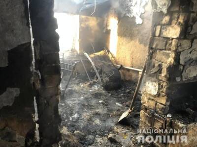 При пожаре в Винницкой области погиб семилетний ребенок