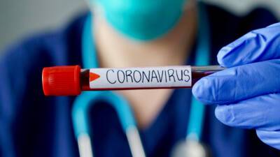 В России за сутки коронавирус выявили у 16 246 человек