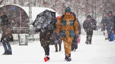 МЧС предупреждает москвичей о сильном снегопаде в воскресенье