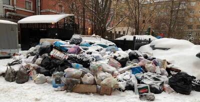 Петербуржцы не хотят платить «коммуналку» за неувезенный мусор