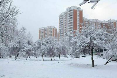 Московские службы готовы к ликвидации прогнозируемого снегопада