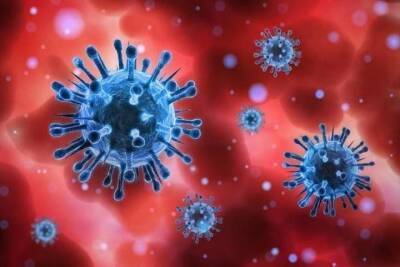 Учёные обнаружили новый гибридный штамм коронавируса «делькатрон»