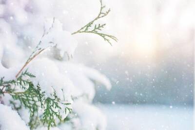 Начавшийся в Курске снегопад может продлиться до утра понедельника