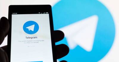 В ФРГ анонсировали миллионные штрафы Telegram