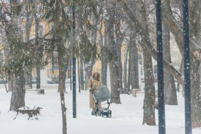 Горслужбы Рязани переведены в режим повышенной готовности из-за снегопада