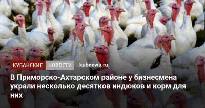 В Приморско-Ахтарском районе у бизнесмена украли несколько десятков индюков и корм для них