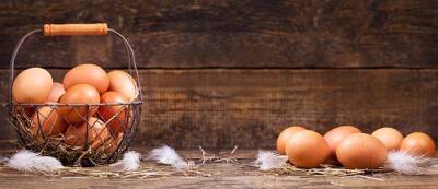Из-за птичьего гриппа яйца кур на свободном выгуле могут стать дефицитом