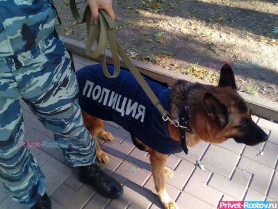 В Ростове-на-Дону забраковали крупную партию опасных кормов для полицейских собак