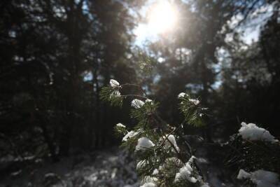 В Астрахани 10 января обещают минусовую температуру и небольшой снег