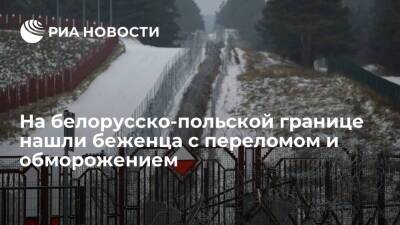 Белорусские пограничники нашли на границе с Польшей беженца с переломом и обморожением