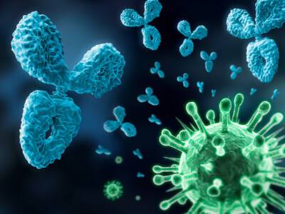 Новая напасть: антитела после COVID-19 оказались опасными для человека