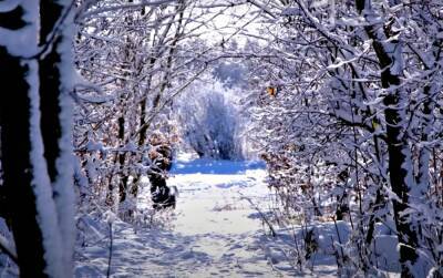 Мокрый снег превратится в лед: прогноз погоды в Украине на 10 января