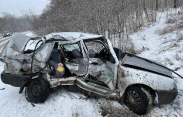 В Винницкой области в результате столкновения грузовика и легкового авто погибли три человека. ФОТО