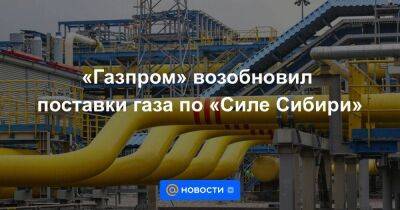 «Газпром» возобновил поставки газа по «Силе Сибири»