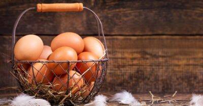Дорогой десяток: почему дорожают яйца и что будет с ценами дальше