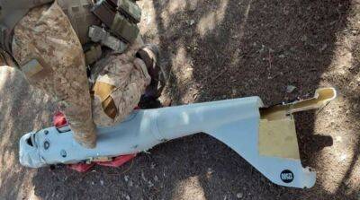 Украинские военные уничтожили российский БПЛА под Херсоном