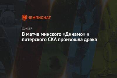 В матче минского «Динамо» и питерского СКА произошла драка