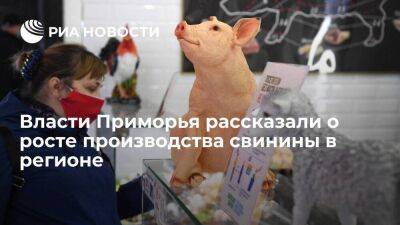 В Приморье заявили, что производство свинины в регионе в 2022 году вырастет в 2,5 раза