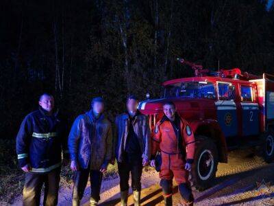 В Кореличском районе спасатели вытащили грибников из болота - grodnonews.by - Белоруссия - район Кореличский