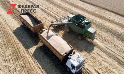 Пшеница подорожала на 5 % после ударов по Украине