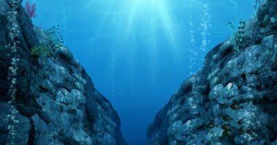 Самые глубокие места в океанах Земли: ученые рассказали, где они находятся и кто там живет