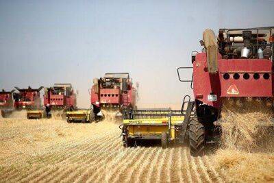 Эксперт Зернин: рост фьючерсов на пшеницу не является поводом для долгосрочных прогнозов