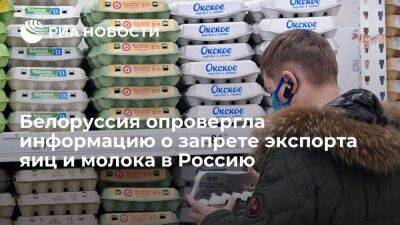Минсельхоз Белоруссии опроверг данные СМИ о запрете экспорта яиц и молока в Россию