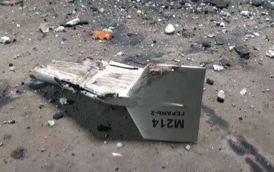 ЗСУ за 3,5 години знищили 13 дронів-камікадзе