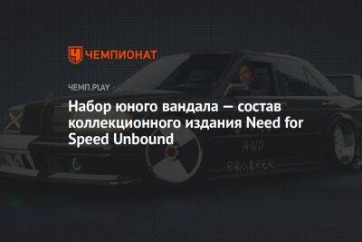 Набор юного вандала — состав коллекционного издания Need for Speed Unbound