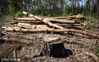 Жителів звільнених районів Херсонської області забезпечать буржуйками та дровами