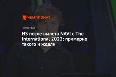 NS после вылета NAVI с The International 2022: примерно такого и ждали
