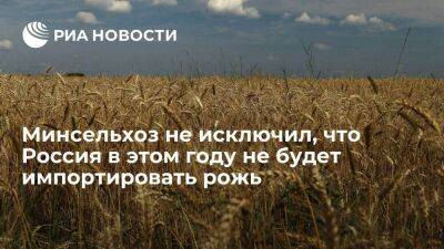 Минсельхоз считает, что Россия в этом году сможет обойтись без импорта ржи
