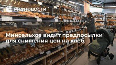 Минсельхоз не исключил снижения цен на хлеб в этом году благодаря хорошему урожаю