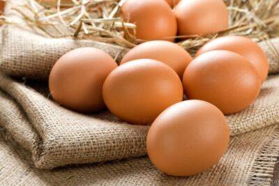 В ноябре куриные яйца начнут дешеветь – Минагрополитики