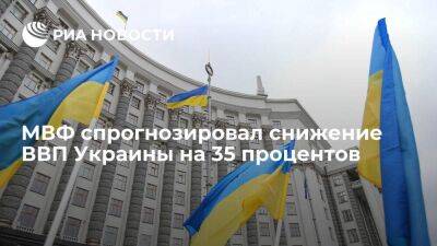 МВФ спрогнозировал снижение ВВП Украины на 35 процентов и рост потребительских цен на 20