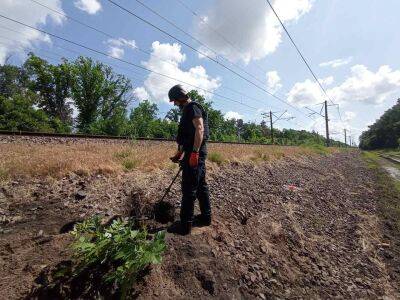 ГСЧС: «На Харьковщине враг заминировал фактически все объекты инфраструктуры»