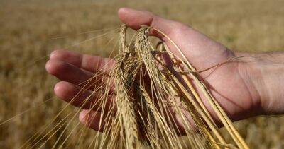 Узбекистан выделит 300 млрд сумов для выращивания сельхозпродукции