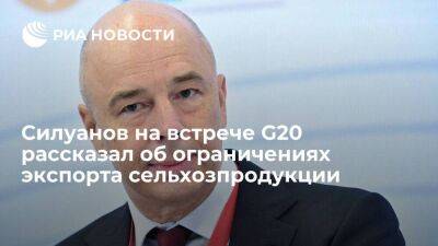 Силуанов рассказал министрам G20 об ограничениях на экспорт сельхозпродукции из России