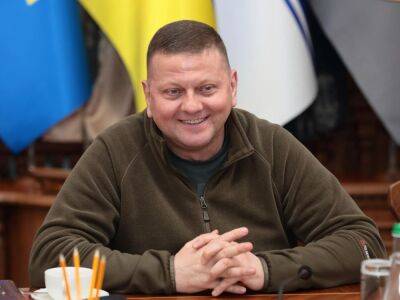 Украинские военные сбили из польских ЗРК 9 беспилотников за двое суток – Залужный